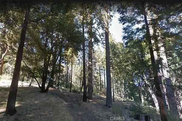59 Mojave River Road, Cedarpines Park, CA 92322