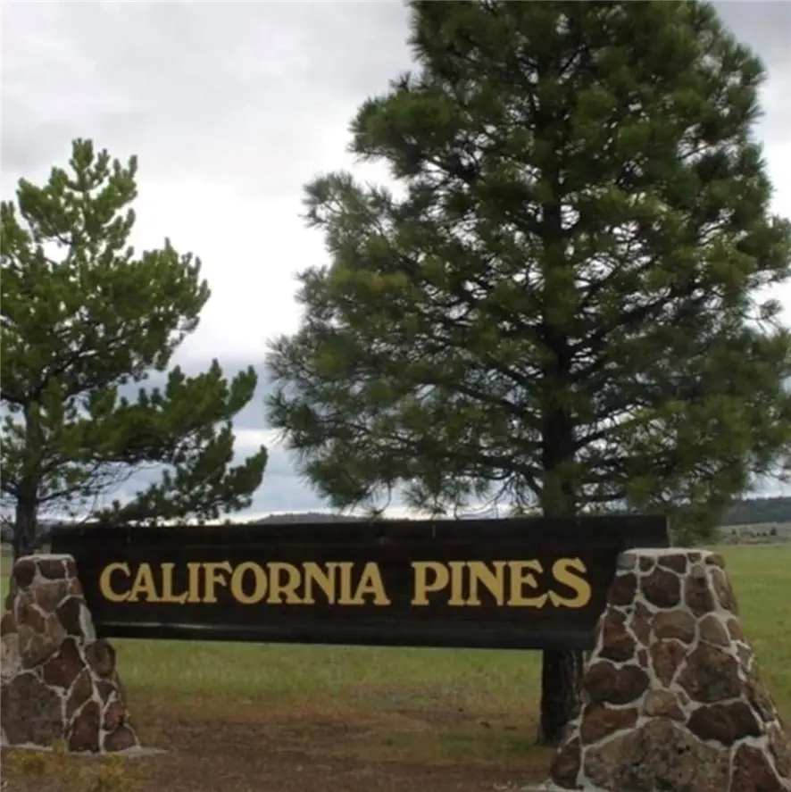 0 Lot 5 And 6 Block 75 - Unit 3, Alturas, CA 96101 - Image #2