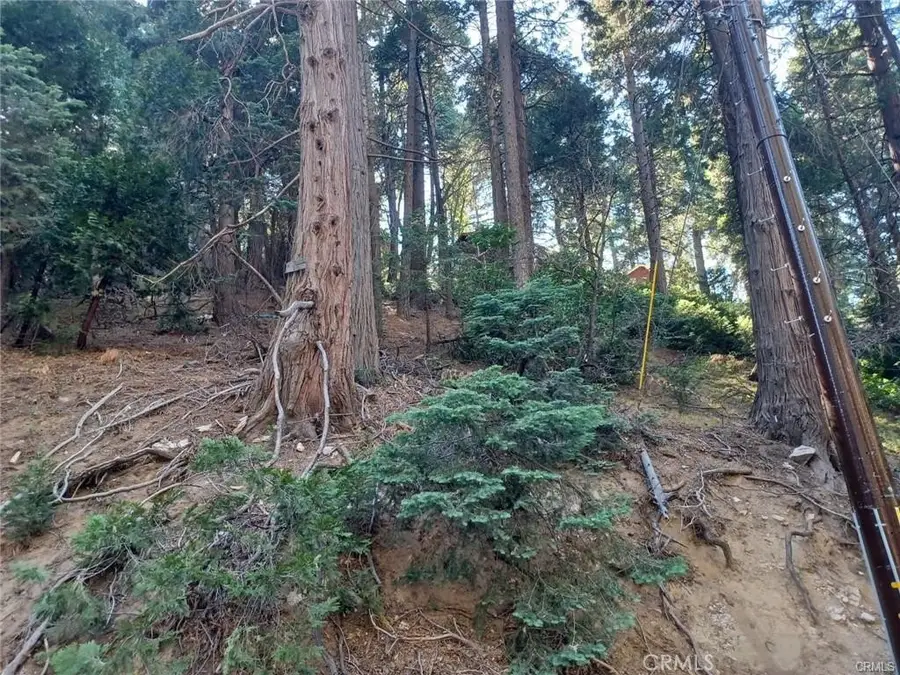 0 Lake Drive, Lake Arrowhead, CA 92352 - Image #3