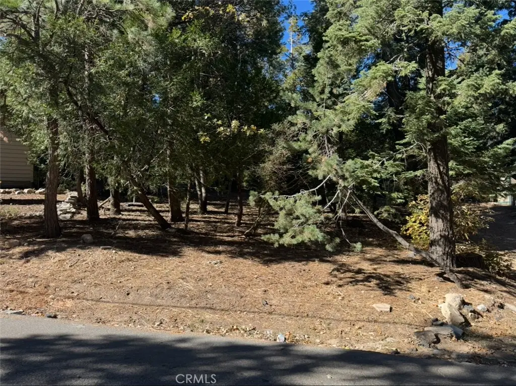 0 Clubhouse Drive, Twin Peaks, CA 92391 - Image #1