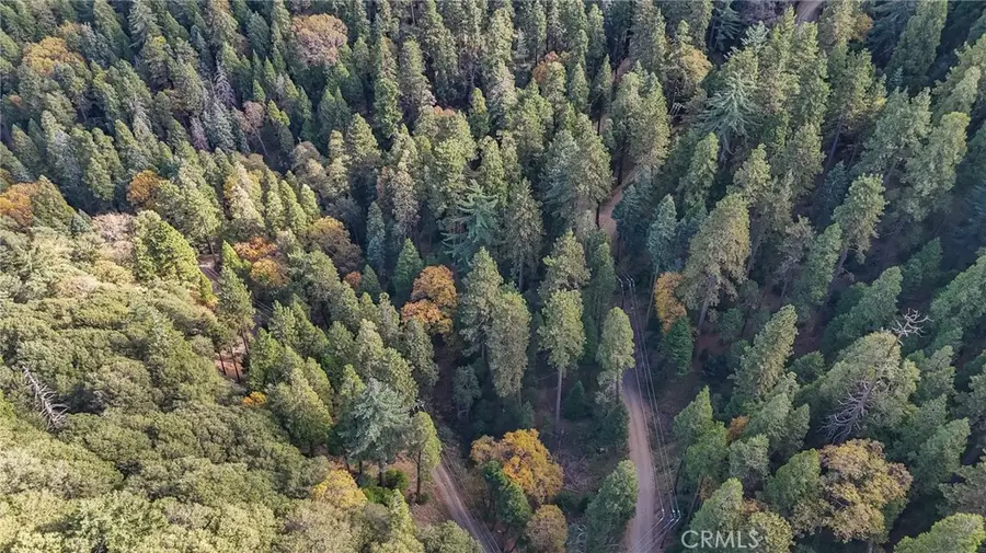 0 Deer Run Road, Cedarpines Park, CA 92322 - Image #3