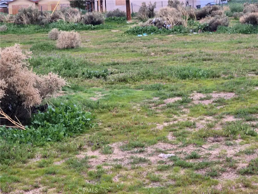 0 Heather Avenue, California City, CA 93505 - Image #3