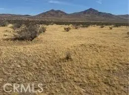 0 Hwy 15, Oro Grande, CA 92368 - #2