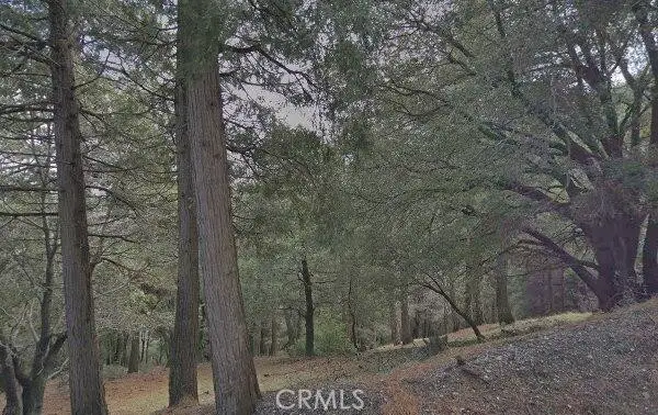 0 Burnt Mill Canyon, Cedarpines Park, CA 92322 - Image #2