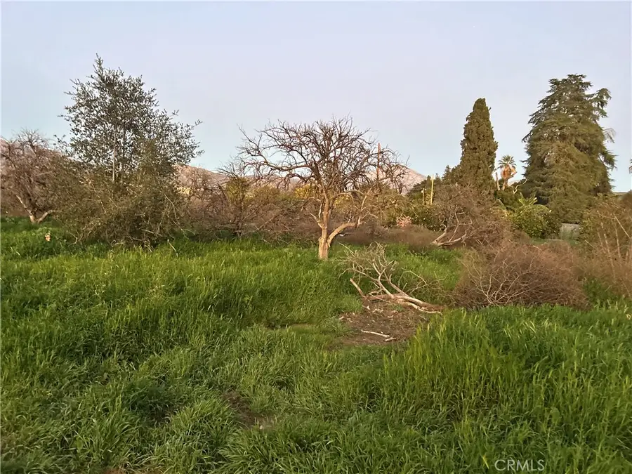 400 Walnut Avenue, Redlands, CA 92373 - Image #3