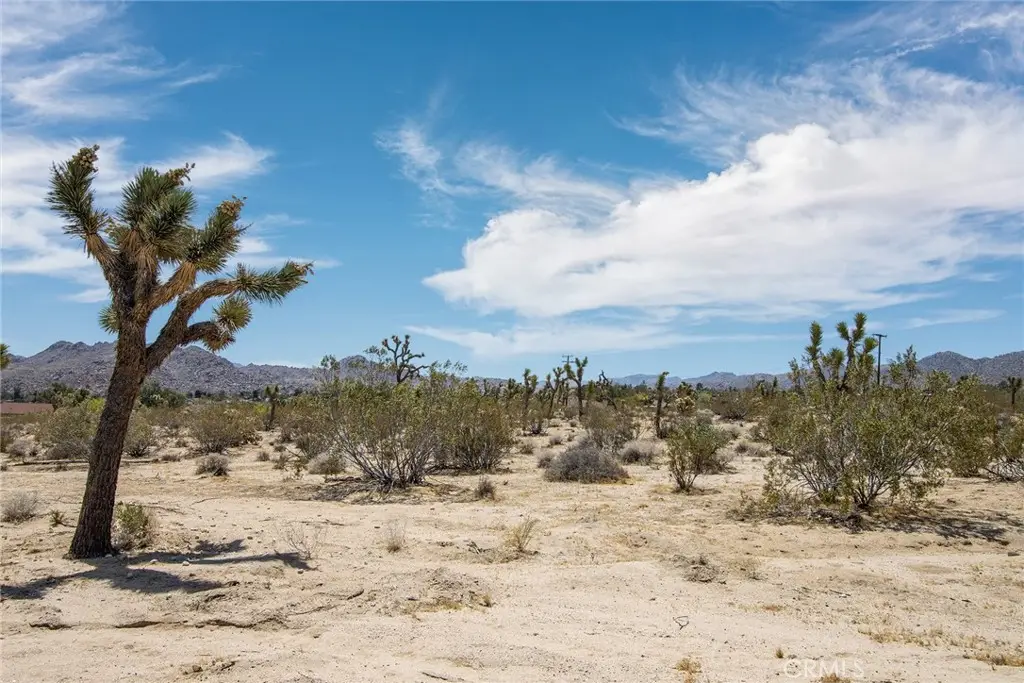 6563 Saddleback Road, Joshua Tree, CA 92252 - #1