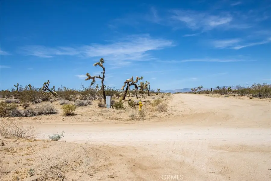 6563 Saddleback Road, Joshua Tree, CA 92252 - #3