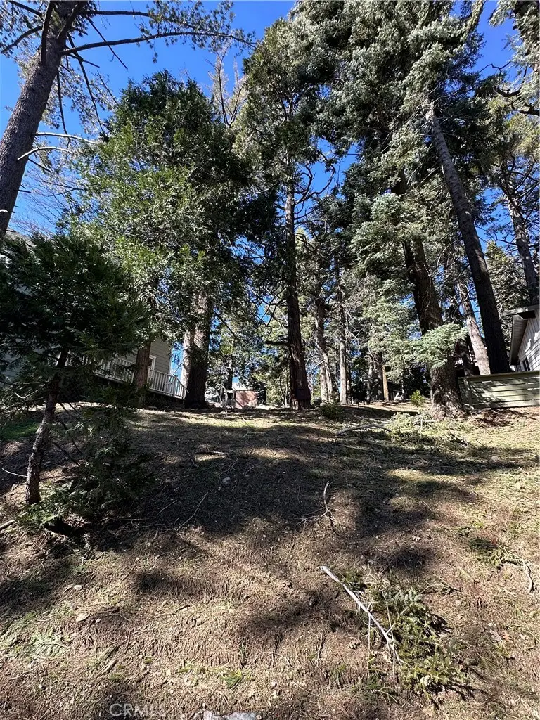 742 W Victoria Court, Lake Arrowhead, CA 92352 - #1