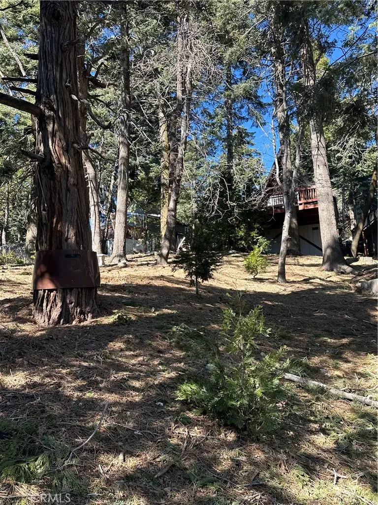 742 W Victoria Court, Lake Arrowhead, CA 92352 - #3