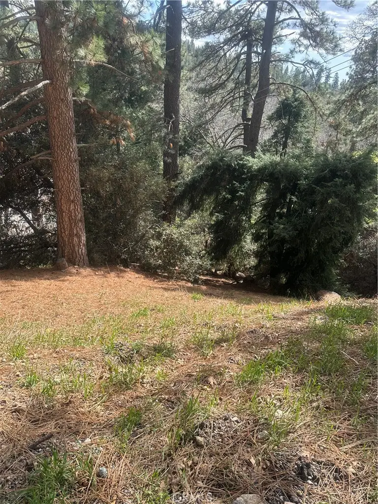 0 Fern Canyon, Cedarpines Park, CA 92322 - #2