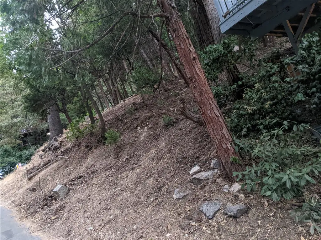 0 Wildwood, Crestline, CA 92325 - #1