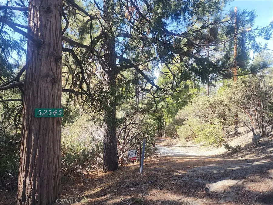 52547 Pine Cove, Idyllwild, CA 92549 - #2