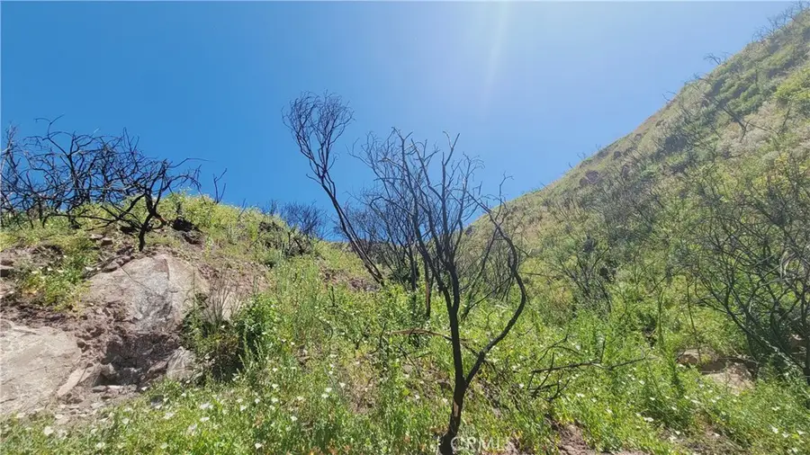 0 Piuma Road, Malibu, CA 90265 - #3