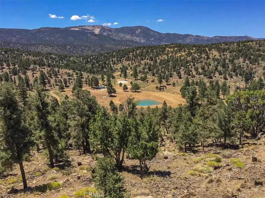 550 Eagle Ridge Rd, Big Bear City, CA 92314 - #3