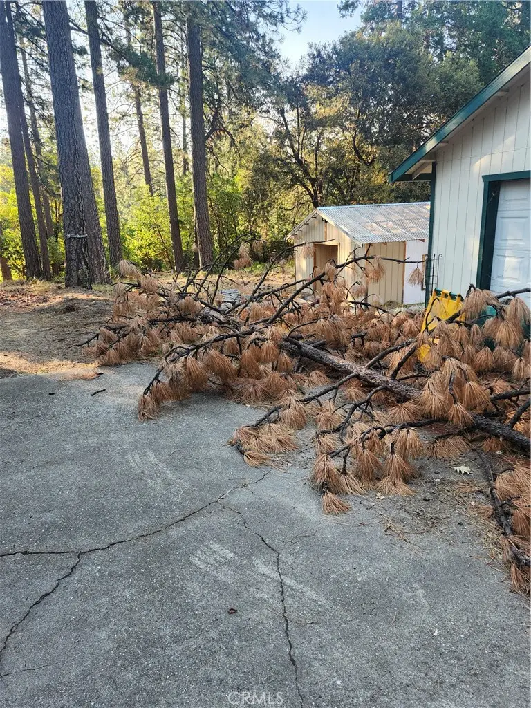 3724 Stope Dr, Placerville, CA 95667 - #3