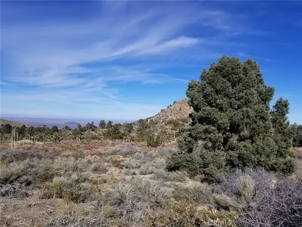 0 Vac/vic Avenue Z14/235 Ste, Llano, CA 93544