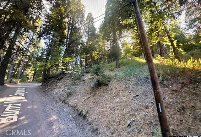 0 Burnt Mill Canyon #20 Road, Cedarpines Park, CA 92322 - Image #1