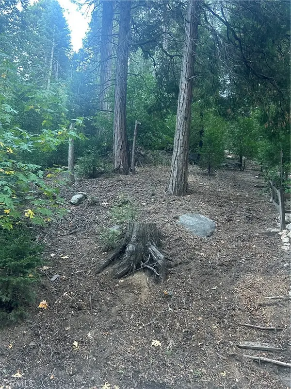 0 Nesthorn Drive, Crestline, CA 92325