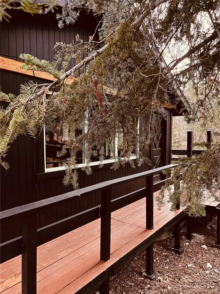 43428 Primrose, Big Bear Lake, CA 92315 - #3