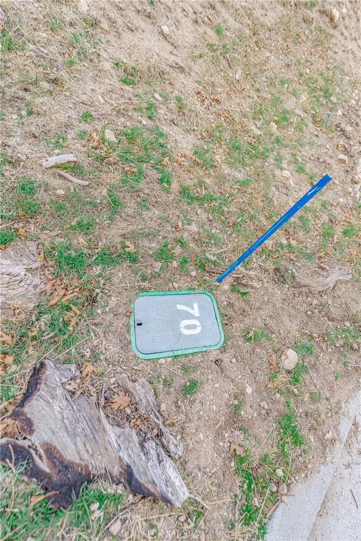 70 Panorama Road, Running Springs, CA 92382 - #2