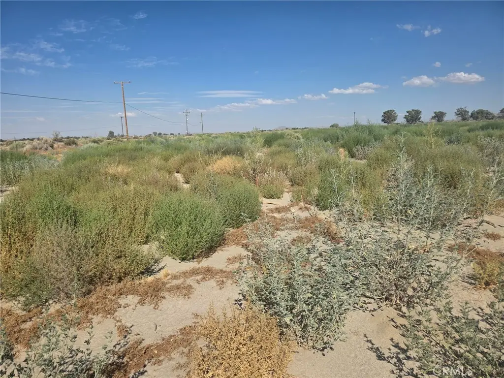 150 Ste/vic, Weed, CA 93591 - #1