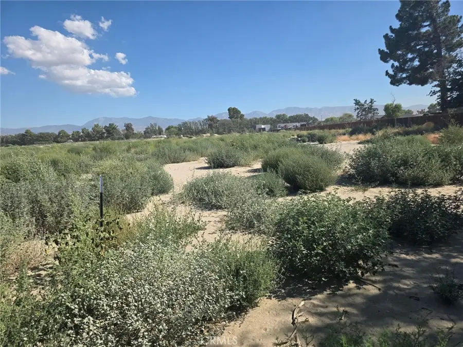 150 Ste/vic, Weed, CA 93591 - #2