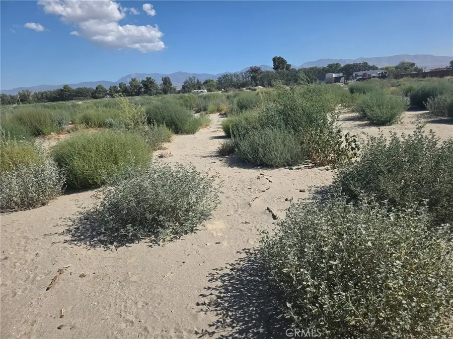 150 Ste/vic, Weed, CA 93591 - #3