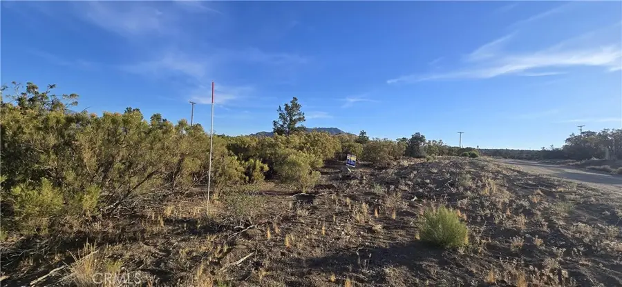 64001 Palm Canyon, Mountain Center, CA 92561 - #2