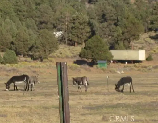 2151 Erwin Ranch Road, Big Bear City, CA 92314 - #3