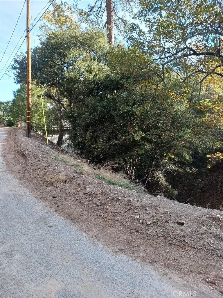24764 Edelwiess Drive, Crestline, CA 92325 - #1