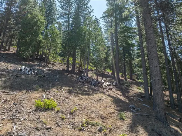 7343 Yosemite Park Way, Yosemite, CA 95389