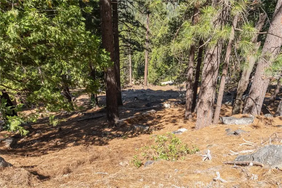 7477 Yosemite Park Way, Yosemite West, CA 95389 - #2