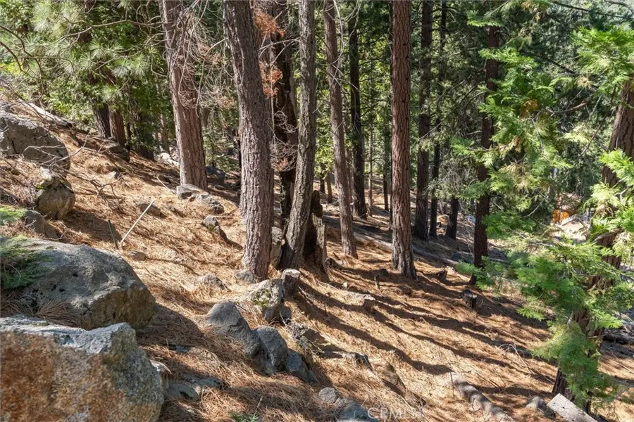 7477 Yosemite Park Way, Yosemite West, CA 95389 - #3