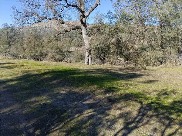 0 Lot 856 Deep Forest Drive, Coarsegold, CA 93614