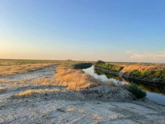 12 Poso Canal, Corcoran, CA 93212 - Image #3