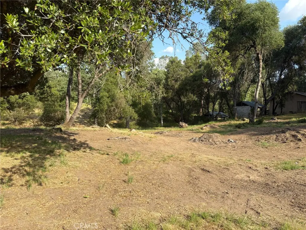 0 Chickasaw Road, Coarsegold, CA 93614 - #1