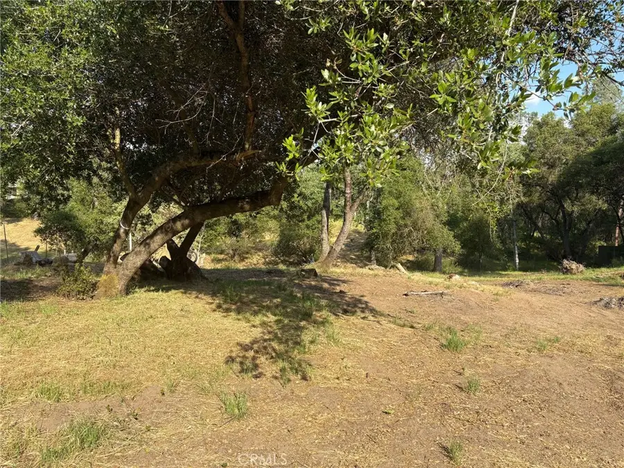 0 Chickasaw Road, Coarsegold, CA 93614 - #3