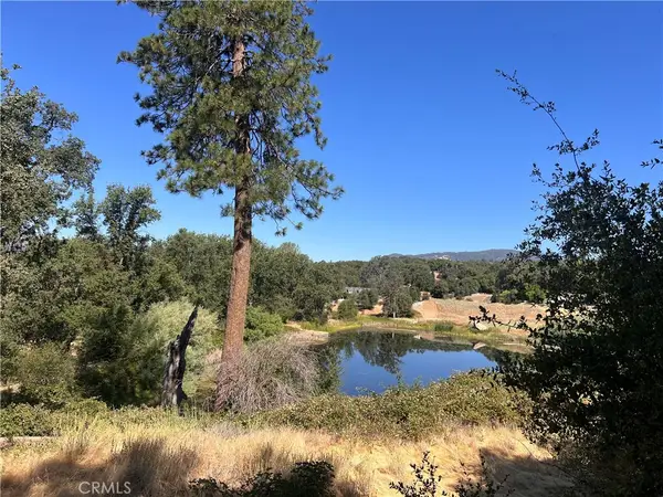 16 Lulniu, Ahwahnee, CA 93601