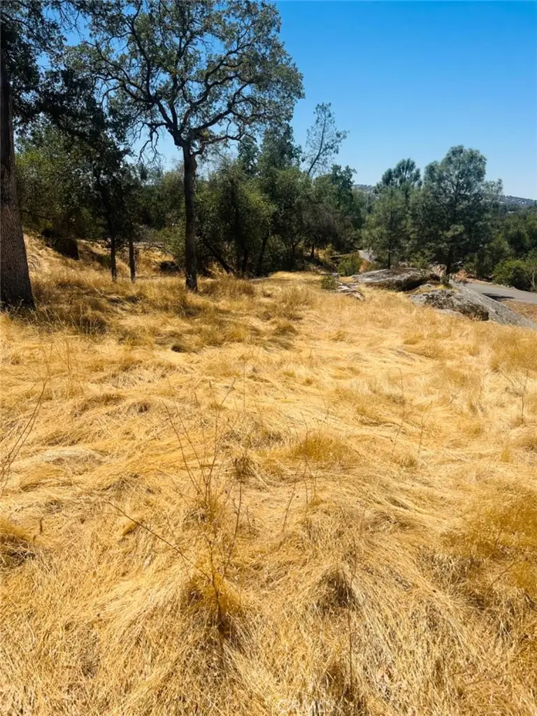 0 Deep Forest Drive, Coarsegold, CA 93614 - Image #2