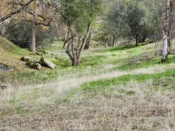 0 Deep Forest Drive, Coarsegold, CA 93614 - Image #3