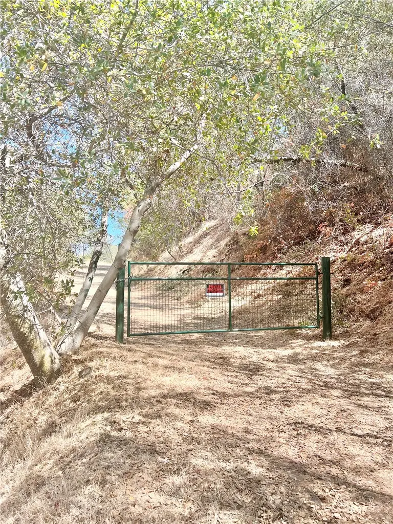 29012 Cassandra Road, Tollhouse, CA 93667 - #1