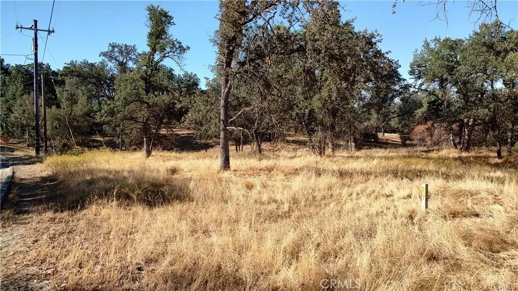 Lot Revis Rd., Coarsegold, CA 93614 - #1