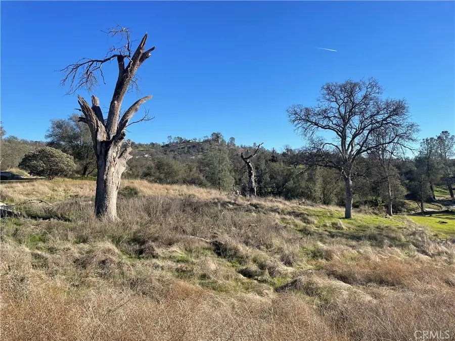 741 lot Long Hollow Drive, Coarsegold, CA 93614 - Image #2