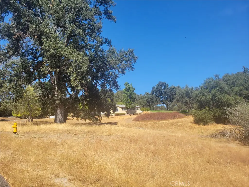 1 Acre Griffin Drive, Oakhurst, CA 93644 - #1