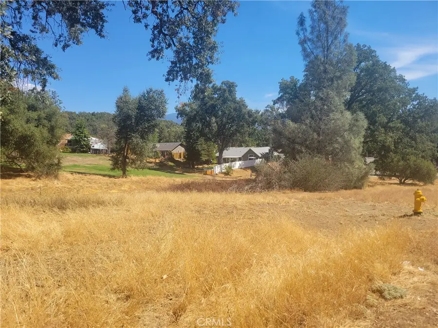 1 Acre Griffin Drive, Oakhurst, CA 93644 - #2