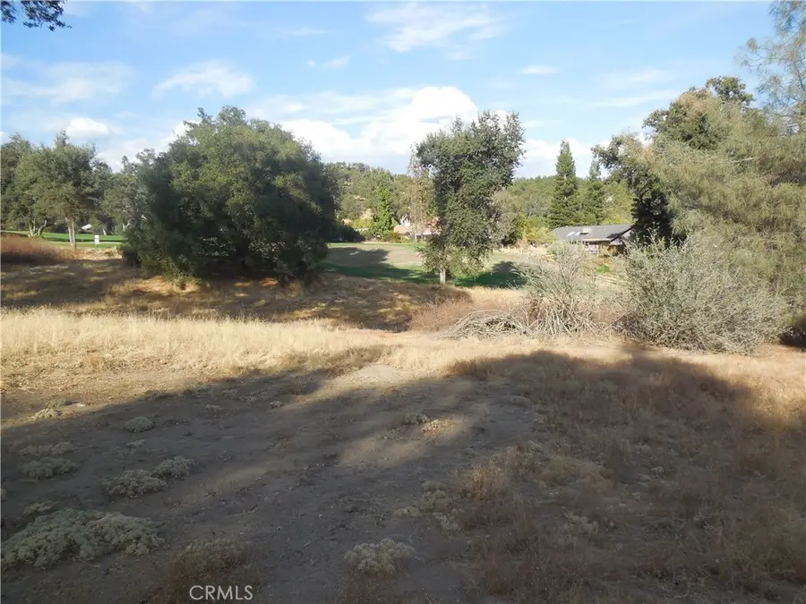 1 Acre Griffin Drive, Oakhurst, CA 93644 - #3