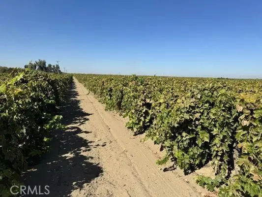 1 S Bishop, Kerman, CA 93630 - #1