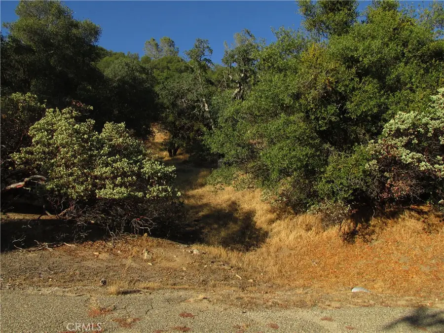 2 Ac Old Oaks Court, North Fork, CA 93643 - Image #2