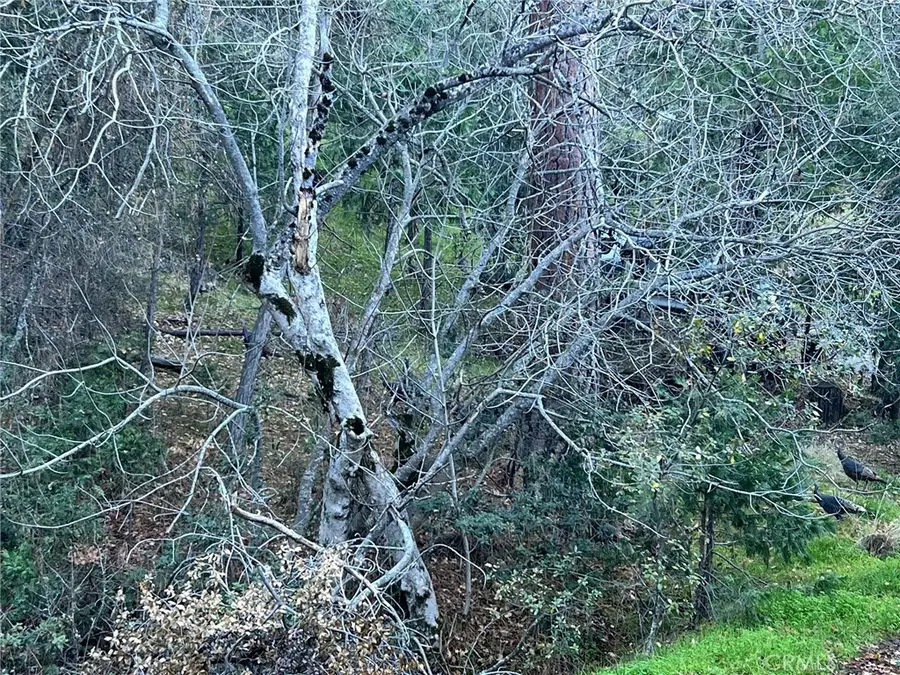 0 Snowy Creek Way, Coarsegold, CA 93614 - Image #2