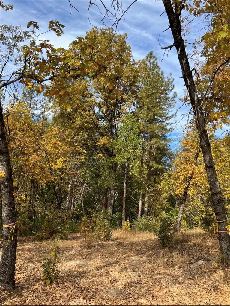 54692 Bluegill, Bass Lake, CA 93604 - #2